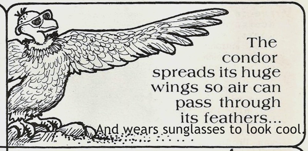 1985 Good Housekeeping magazine ad