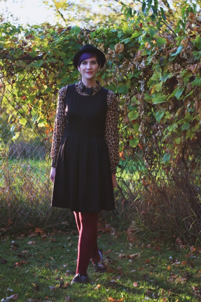 Outfit: leopard print blouse, black dress, burgundy tights, brogues, pork pie hat