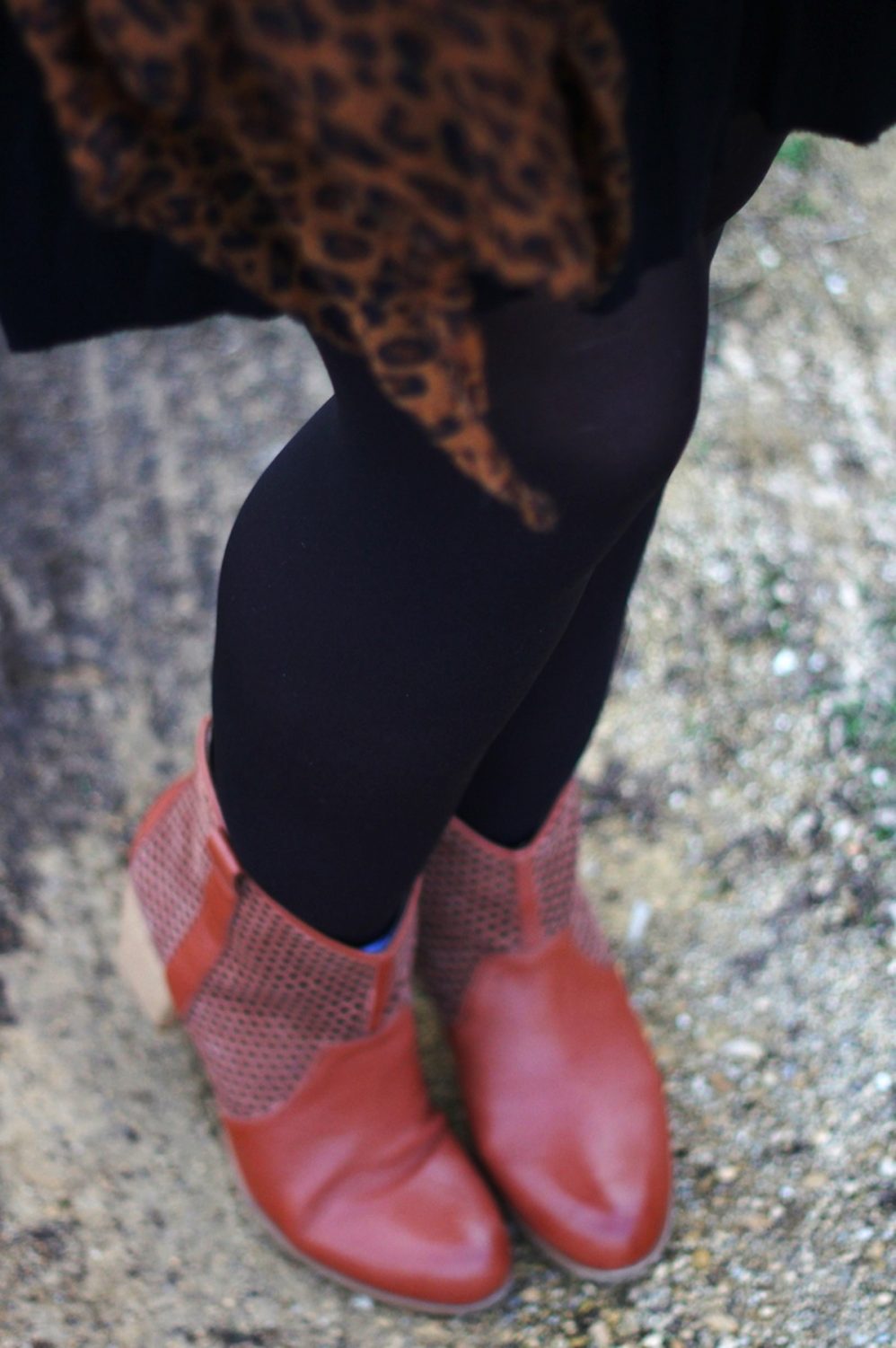 Outfit details: leopard print scarf, black skater skirt, black tights, cognac colored boots