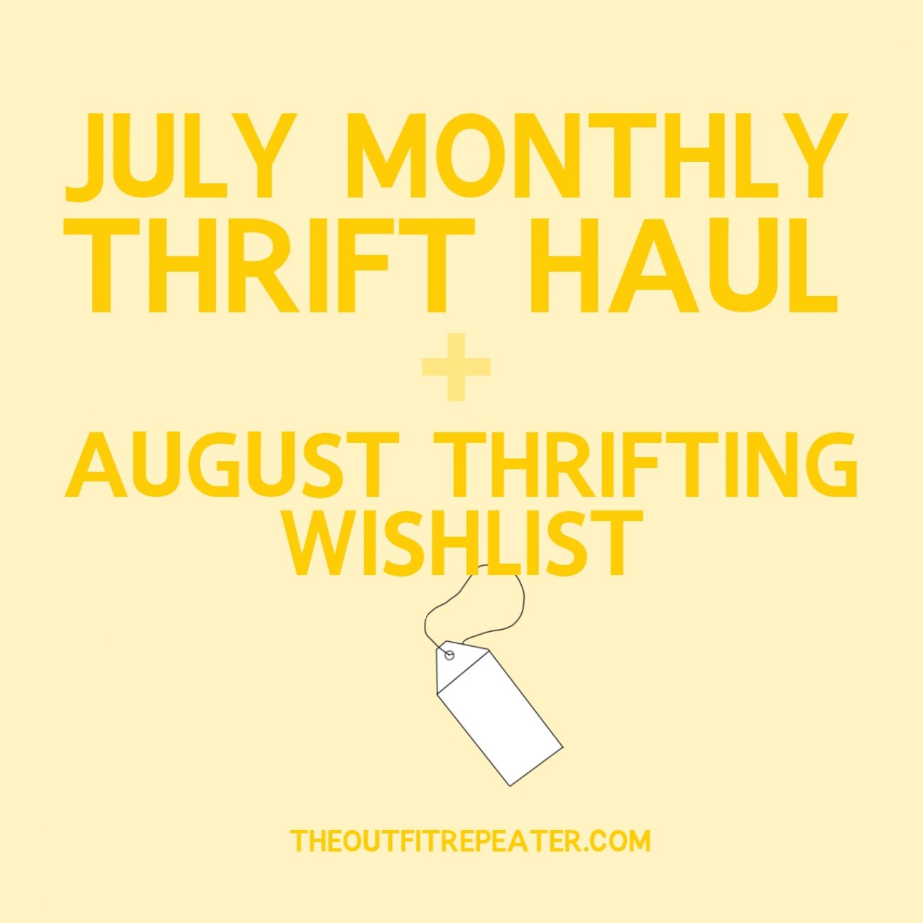 July Thrift Haul Video + August Thrifting Wishlist