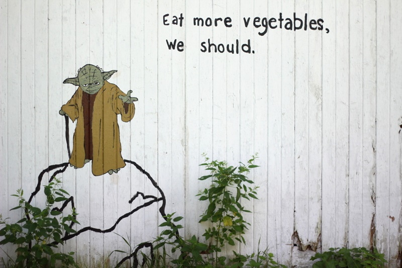 yoda wall mural painting eat more vegetables we should garden star wars force