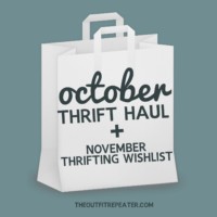 Chatty October Thrift Haul Video + November Thrifting Wishlist