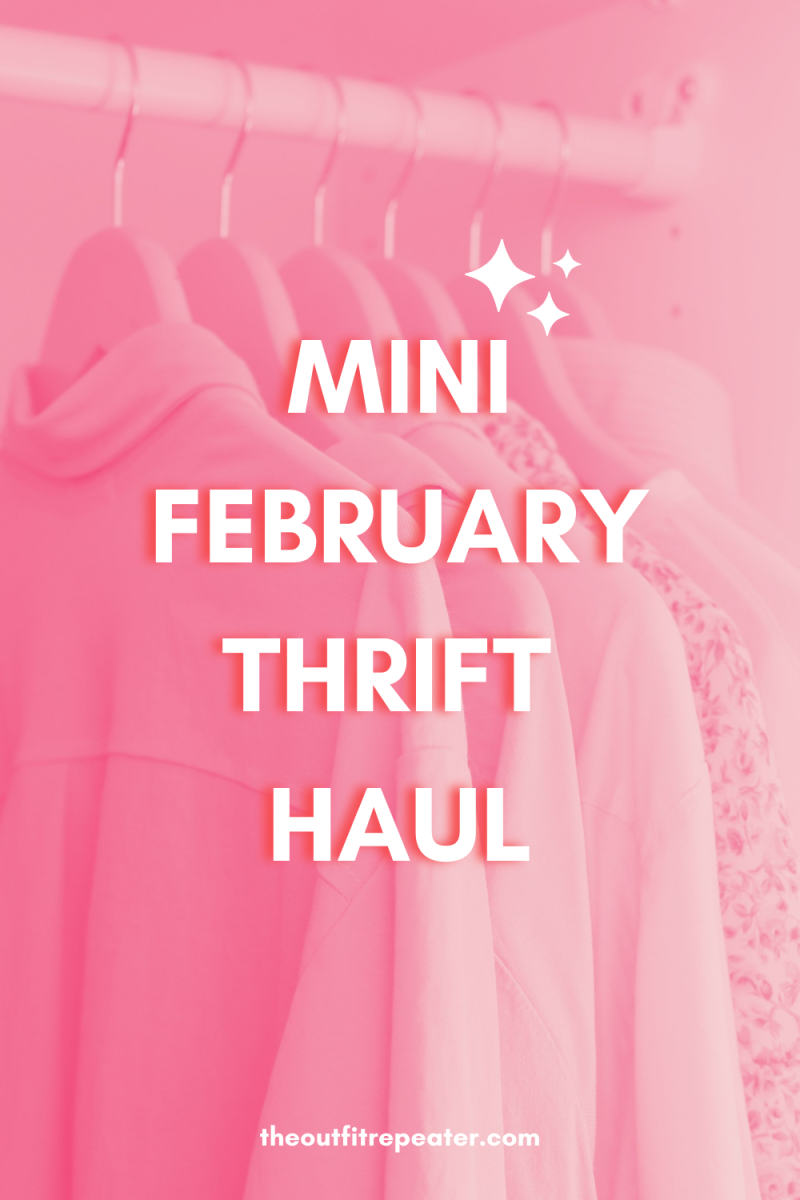 Mini February Thrift Haul + Finding My UNICORN Thrift Item - hannah rupp the outfit repeater