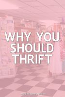 why-you-should-thrift-shopping-store-hannah-rupp-the-outfit-repeater